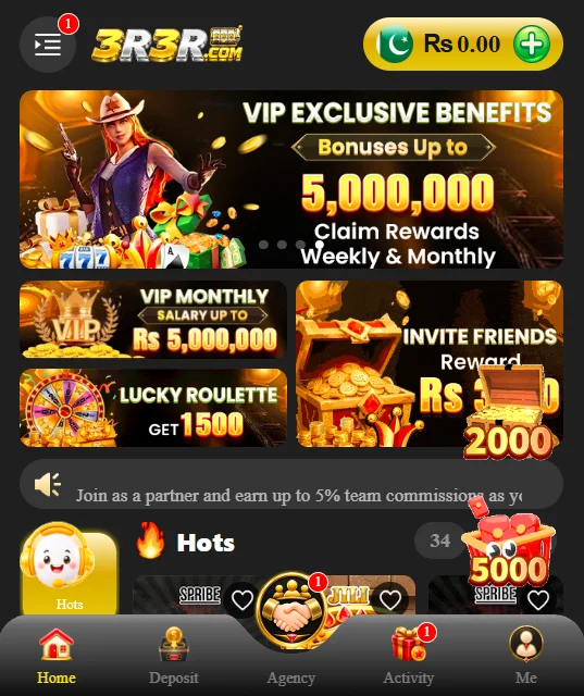 Show the VIP exclusive benefits and the amount of bonuses, VIP levels, and referral promotions.